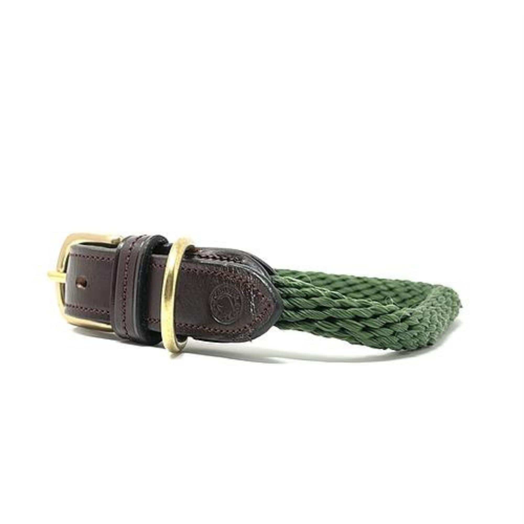 Forest green shop dog collar